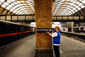 potter platform