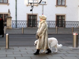 Local animal rights activist